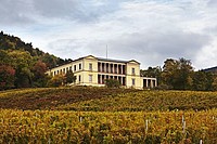 Fotografie der Villa Ludwigshöhe