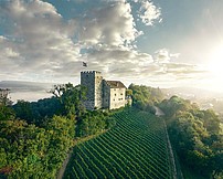 Schloss Habsburg im Aargau 