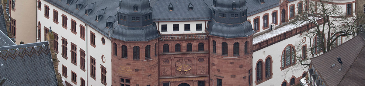 Das Historische Museum Speyer aus der Vogelperspektive