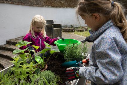 Kinder setzen Pflanzen in ein Hochbeet