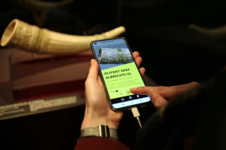 Medienguide App-Tour durch die damalige Landesausstellung "Die Habsburger im Mittelalter".