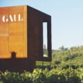 Blick auf das Weingut Gaul und Weinbergen in Grünstadt, Pfalz.
