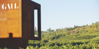 Blick auf das Weingut Karl-Heinz Gaul und Weinbergen in Grünstadt, Pfalz.